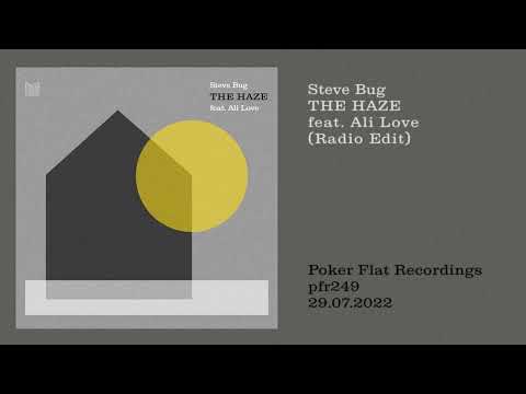 Steve Bug: The Haze feat. Ali Love (Radio Edit)