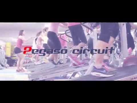 AD 2016 - Palestra Pegaso Vasto