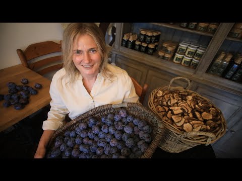 The man who fell in love with Szydłów's black gold