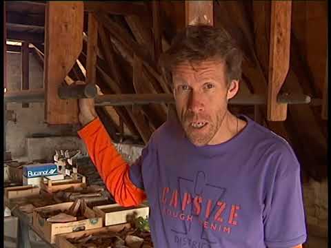 Hanseatic City Groningen - Beno's City 260 (June 15, 2006)