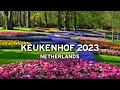 Keukenhof April 30 2023 Netherlands 4K