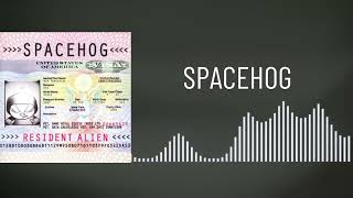 Spacehog - In The Meantime