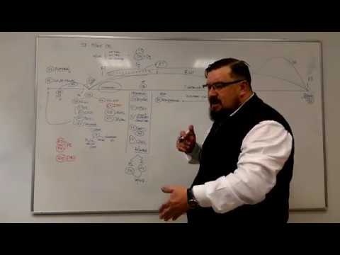 FASES DEL PROCEDIMIENTO ADMINISTRATIVO.  VÍDEO MUESTRA DE CLASES ONLINE.