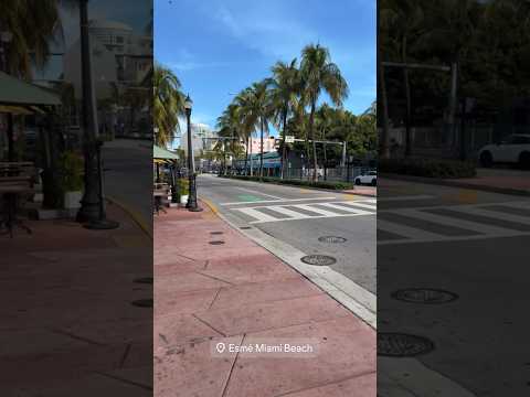 FOR THOSE WHO LIKE GTA! #adr #joãorezende #gta #gta6 #miami