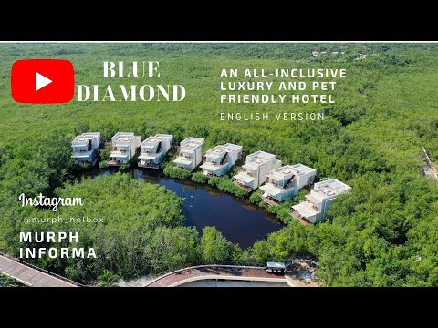 AN ALL-INCLUSIVE LUXURY AND PET FRIENDLY HOTEL / ENGLISH VERSION 4K