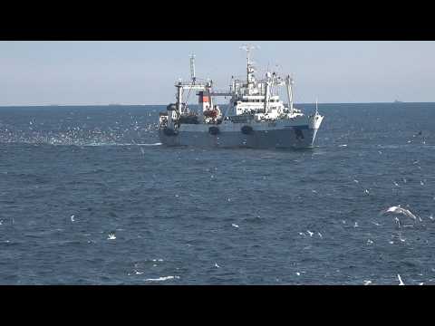 КОРРУПЦИЯ В ПОРТУ | Новости Камчатки | Масс Медиа