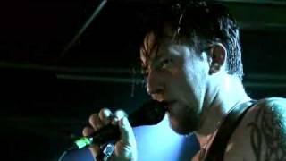 VOLBEAT - Devil Or The Blue Cat's Song (live in Berlin 2007)