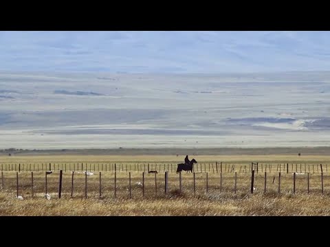 Emisión en directo Canal Flor y Truco - Patagonia Aysén
