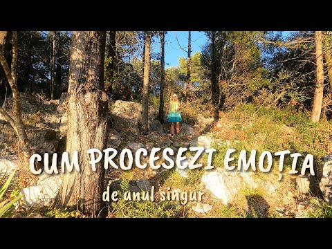 Cum procesezi emoțiile? De unul singur