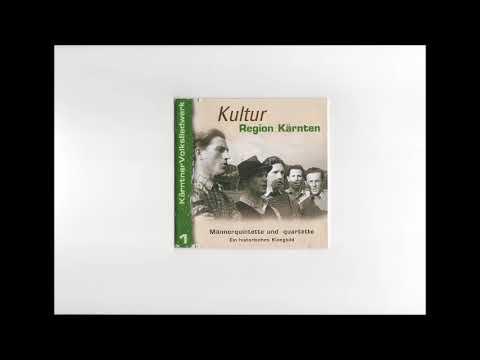 Herzog Quintett   Wohl in da Wiedaschwing