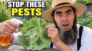 Stop Garden Pests! Caterpillars, Aphids, Mealybugs & More