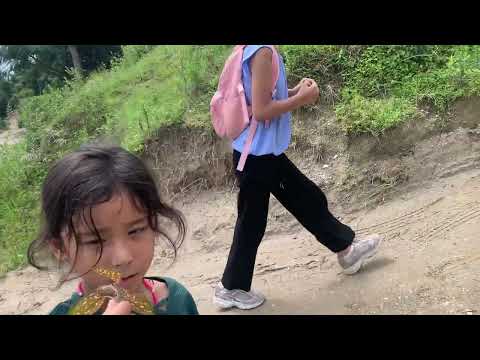 Hiking to Tarebhir Kathmandu Nepal/ beautiful landmark/ Uk London Vlog