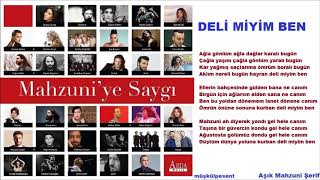 Deli Miyim Ben - Ziynet SALİ - Mahsuni&#39;ye Saygı (Şiir Cover)