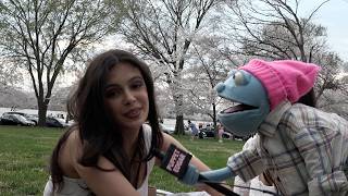 Asking Libs Their Favorite Conspiracy Theories