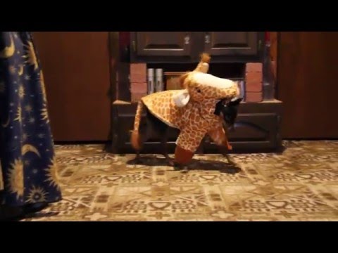 Worlds Greatest Dog Costume! Video