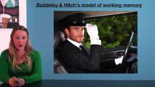 VCE Psychology - Baddeley & Hitch's Model of Working Memory