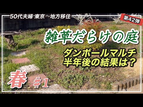 なぜ果樹の周りに段ボールを置くのでしょうか？  庭園