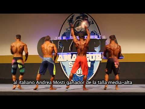 Muscle News (Program 2)