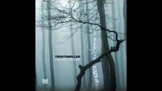 Trentemöller - Moan