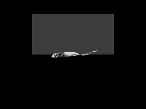 Bobby Kensei - cryptomnesia (freestyle)