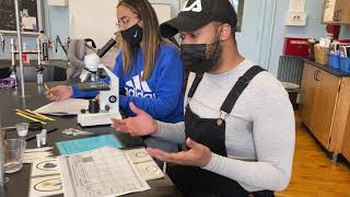 Relationships and Biodiversity Lab Part 1