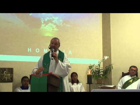 Homilia Pe. Félix 26/07/2015 17º domingo comum