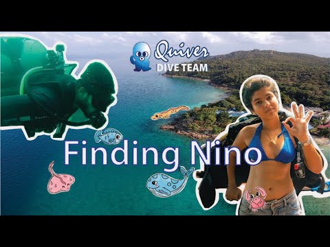 Scuba diving in the beautiful Perhentian islands - Open water diving course