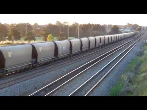 Tarro Station - down empty coal train and Endeavour