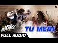 TU MERI FULL AUDIO | feat Hrithik Roshan & Katrina Kaif | Vishal Shekhar