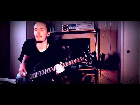 Apache Rose Peacock - Red Hot Chili Peppers - Bass Cover