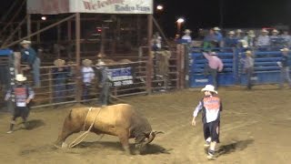 Rodeo Bull Riding Watch Bull Fighters Chased By Mad Bulls