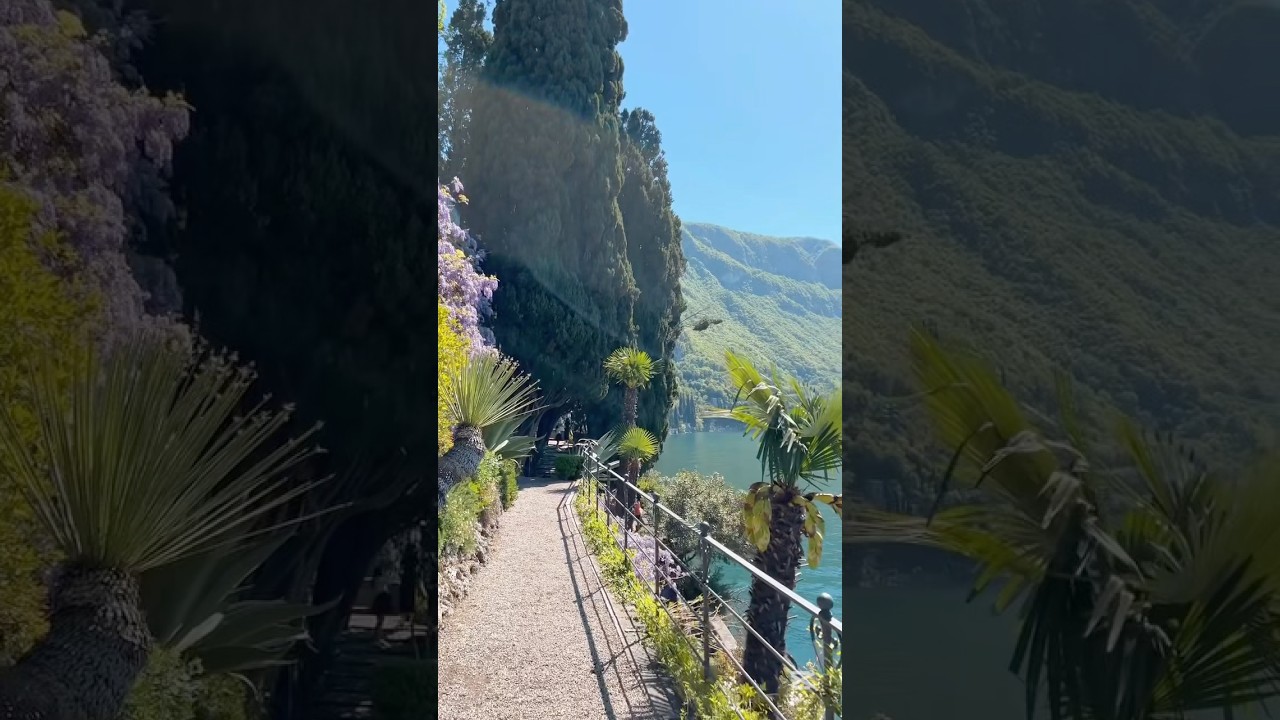 YouTube Short thumbnail