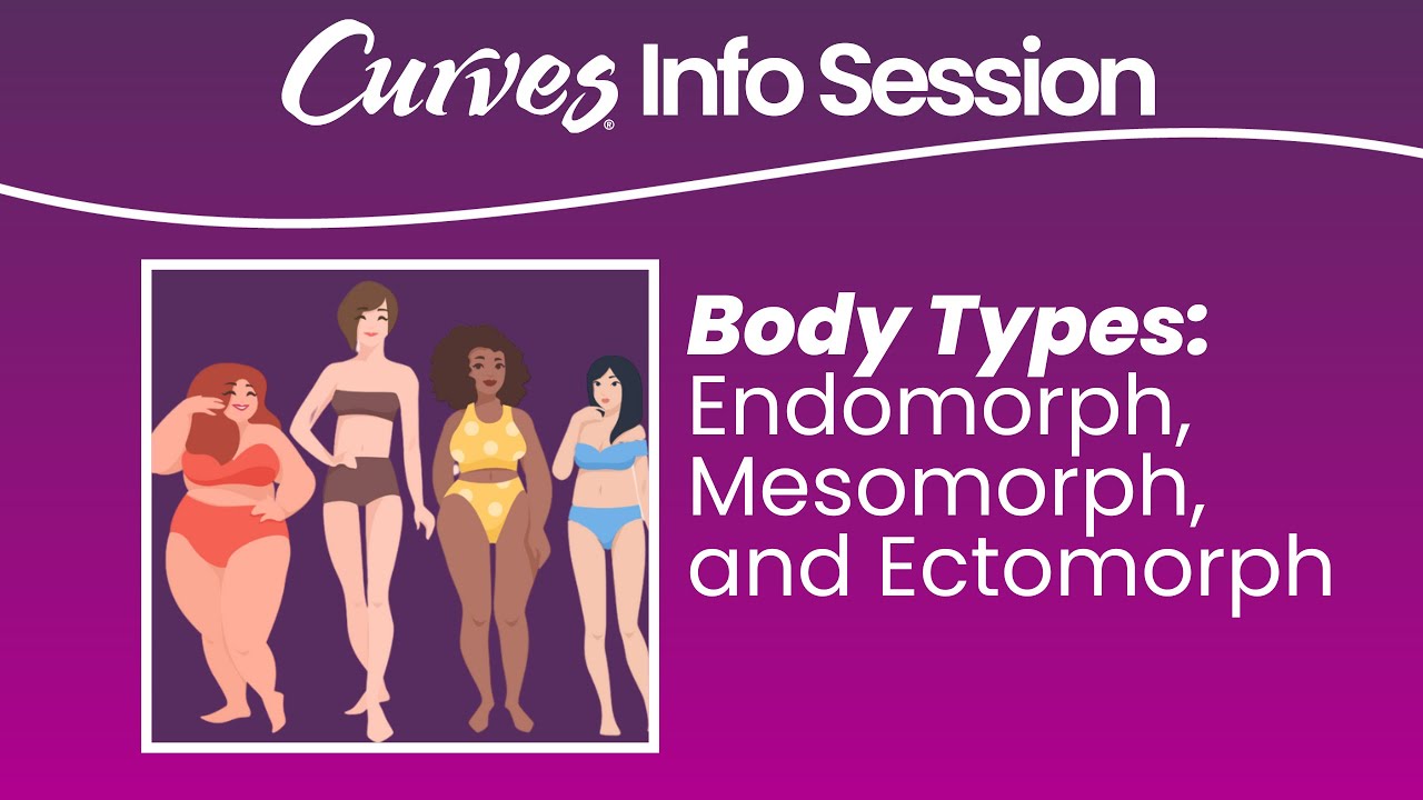 Body Types:  Endomorph / Mesomorph / Ectomorph - Women's Health & Wellness | Curves