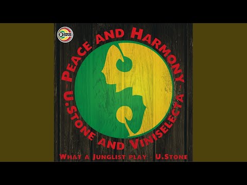 Peace & Harmony (Original Mix)