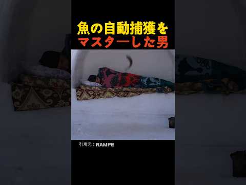 魚の自動捕獲をマスターした男