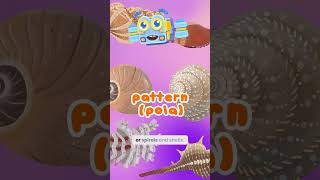 IS THE FIBONACCI SEQUENCE REAL? 🔍🌸🌻 #STEM #EarlySTEM #Educational #singaporesyllabus #earlymaths