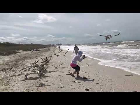 A day at the beach with Lupe