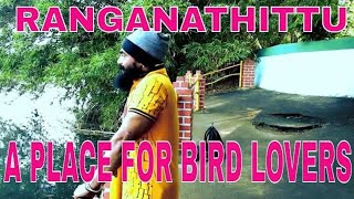 preview picture of video 'RANGANATHITTU BIRD SANCTUARY,A PLACE FOR BIRD LOVERS,MALAYALAM TRAVEL VIDEO(ರಂಗನತಿಟ್ಟು ಪಕ್ಷಿಧಾಮ)'