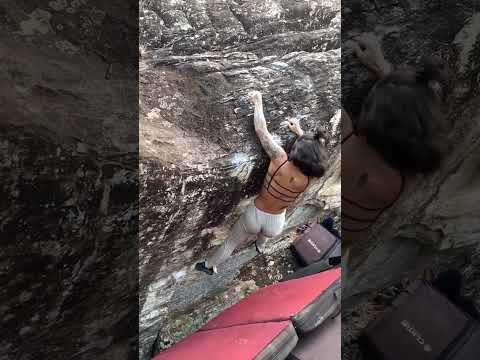 Menisco, V7_8. Cocalzinho de Goiás
