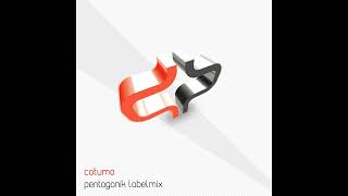 Cotumo - Pentagonik Labelmix [Mixotic 044] [Deep, Electro, House, Minimal, Micro, Techno]
