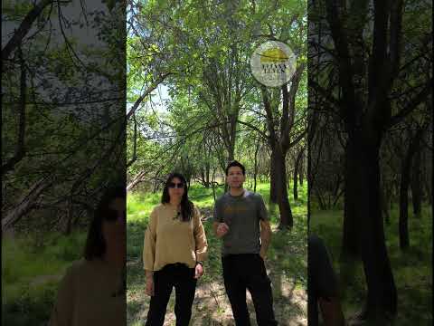 LOTES CON FINANCIACION EN VILLA DE LAS ROSAS