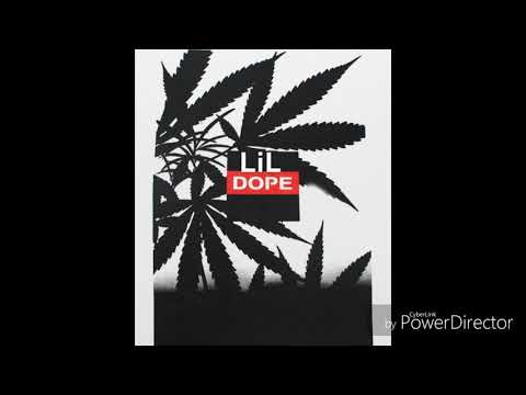 LiL Dope- Cookin dope (in da trailer park)