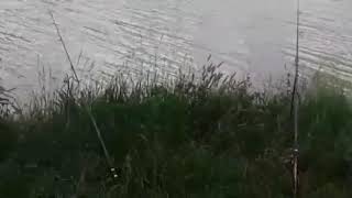 Рыбалка в краснодарском крае дятьковская