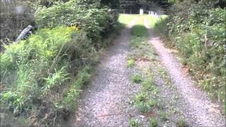 preview picture of video 'Batstone's Cottage - Digby, Nova Scotia. A drive down the cottage lane'