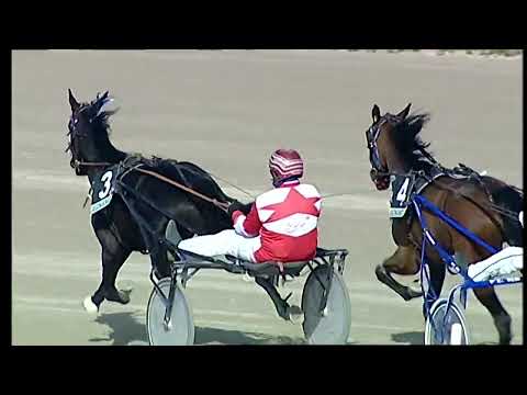 Napoli Trotto 06/02/2022 - 1ª corsa