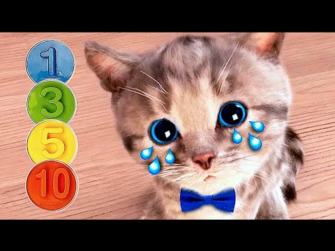 MY CUTE LITTLE KITTEN ADVENTURE OF A LITTLE CAT 🐱 ✨Best Learning cartoon for babies #cutecats