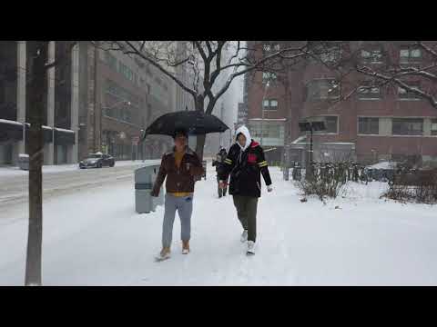 TORONTO SNOWSTORM WALK - Around The Downtown Core During The First Major Snowfall Of The Season - 4K