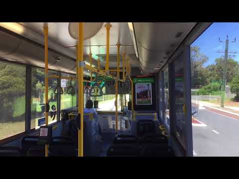 Transperth TP1224 - Mercedes-Benz O405NH (Voith)