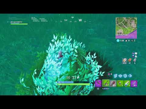 Fortnite Clip#13 TROLL