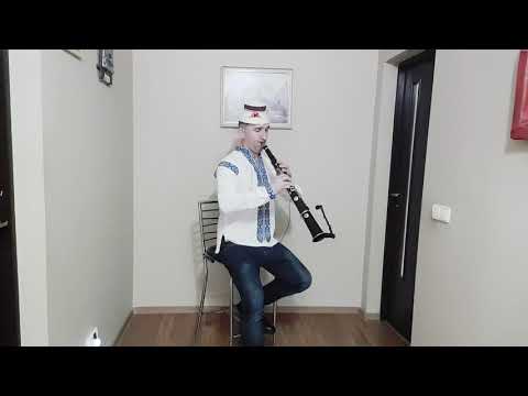 Zâs-o mana catre mine -Călin Borse live la taragot